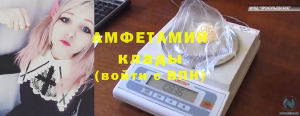 PSILOCYBIN Кондопога