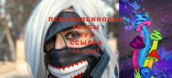 ешки Козельск
