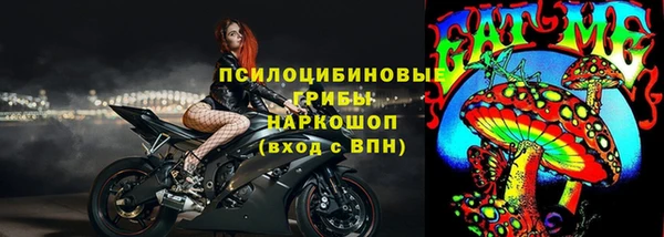 ешки Козельск