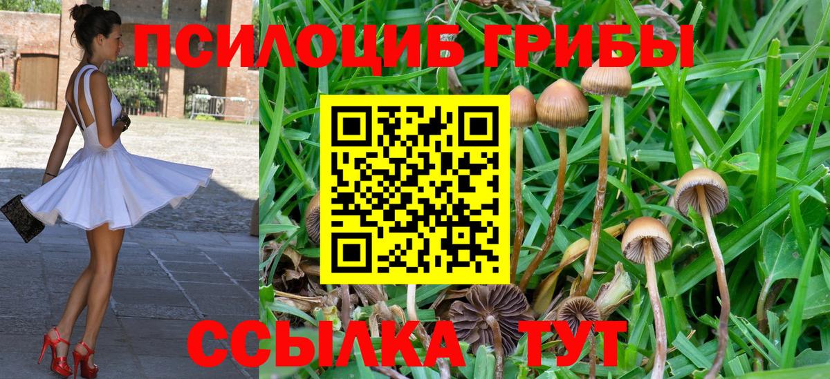 Галлюциногенные грибы ЛСД  Галлюциногенные грибы прущие грибы  Мариинск  Вход с VPN 