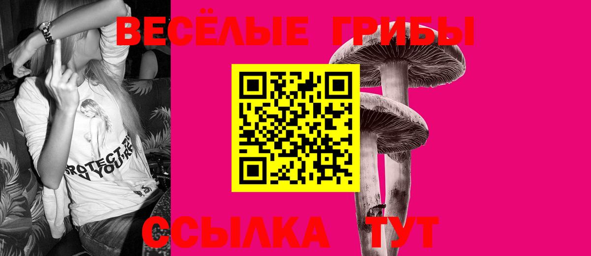 Псилоцибиновые грибы GOLDEN TEACHER Мариинск